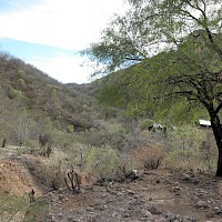 Diamante 2. El Comedero Ranch.